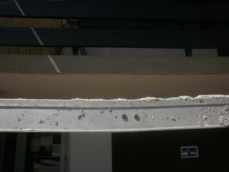 P5020027